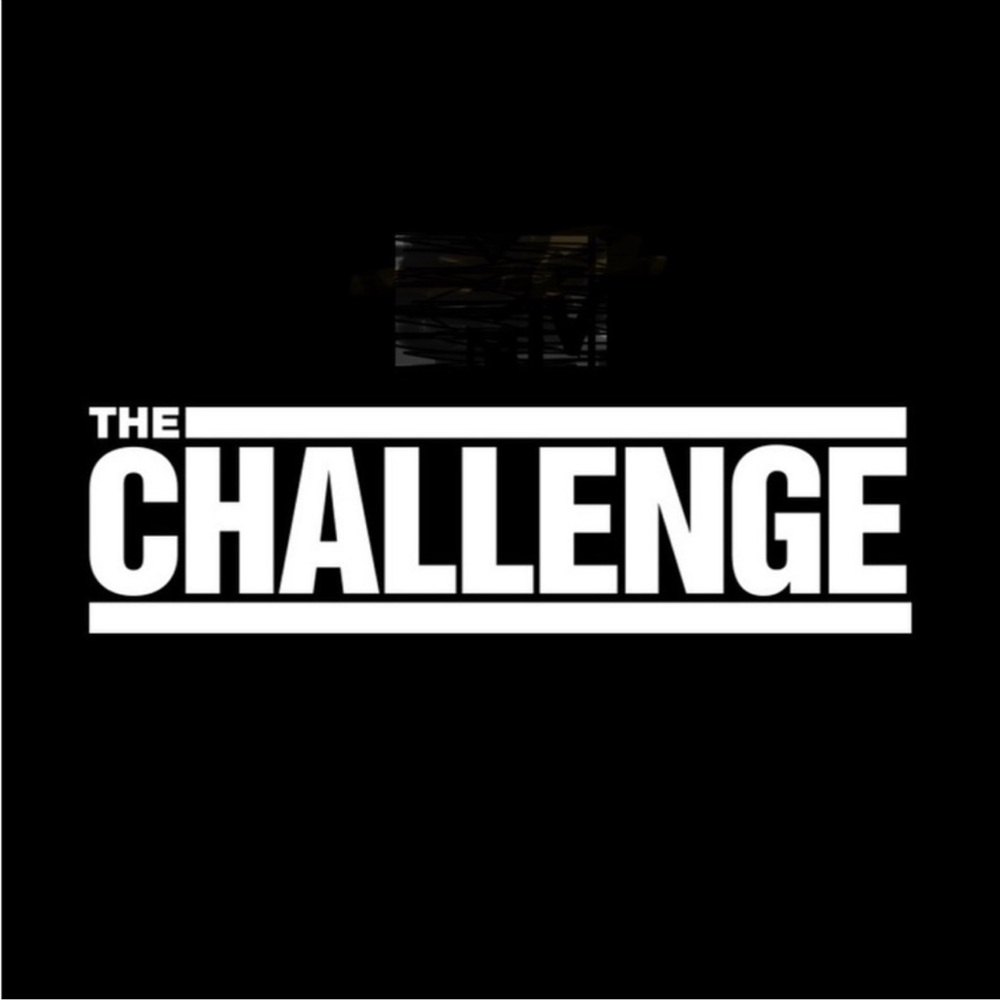 The Challenge Seasons 1-10 & 33-35